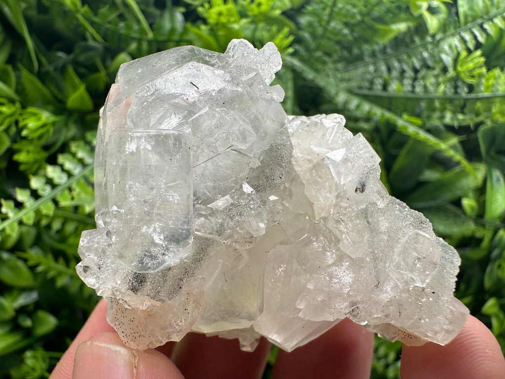 Apophyllite Stilbite on Chalcedony, India Mineral Specimen