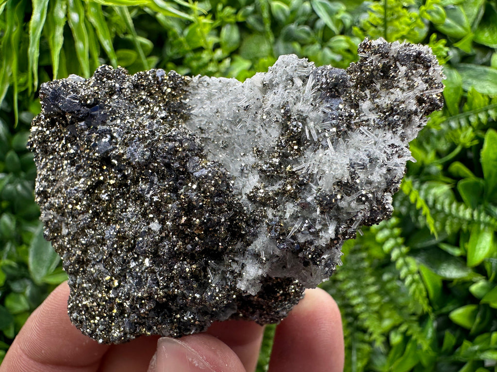 Galena Pyrite on Quartz Crystal Cluster - Borieva Mine, Bulgaria
