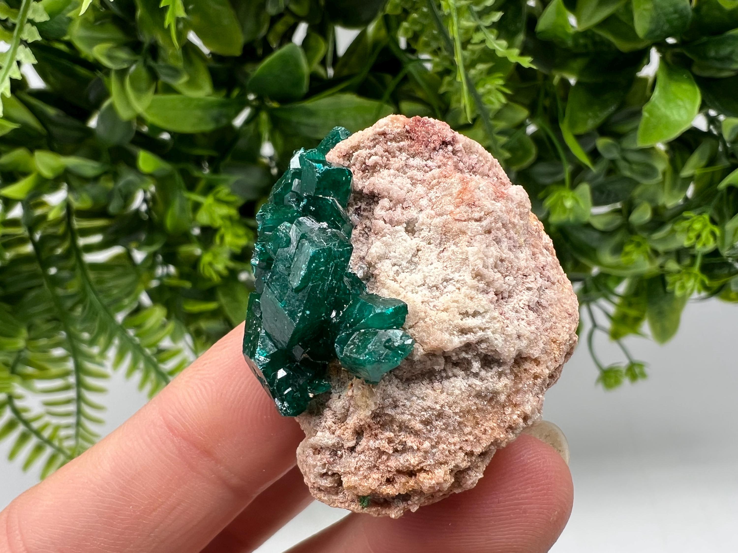 Stunning Green Dioptase from Sanda Hills,Mindouli,Pool Department,Mindouli District,Congo,green Dioptase,Dioptas Crystal,Dioptase collecting