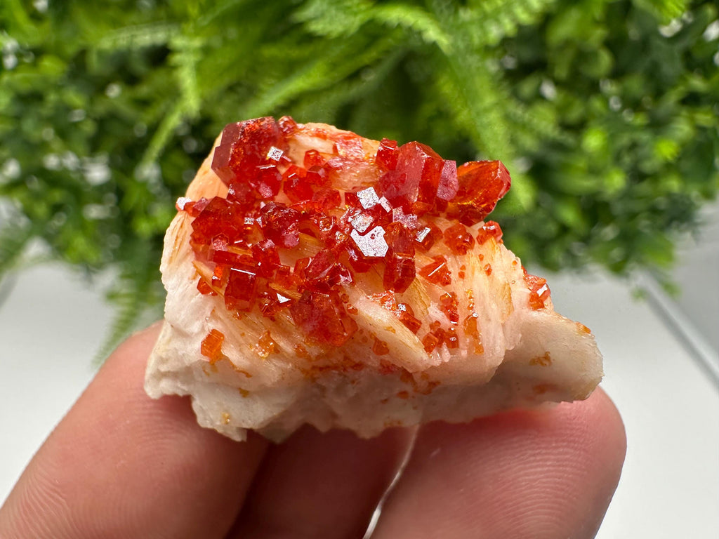 Red Vanadinite on Barite from Marocco,crystal minerals Speciment cluster Vanadinite crystal Vanadinite Geology Vanadinite cluster minerals