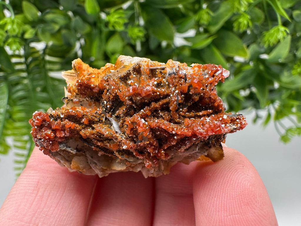 Red Vanadinite on Barite from Marocco,crystal minerals Speciment cluster Vanadinite crystal Vanadinite Geology Vanadinite cluster minerals