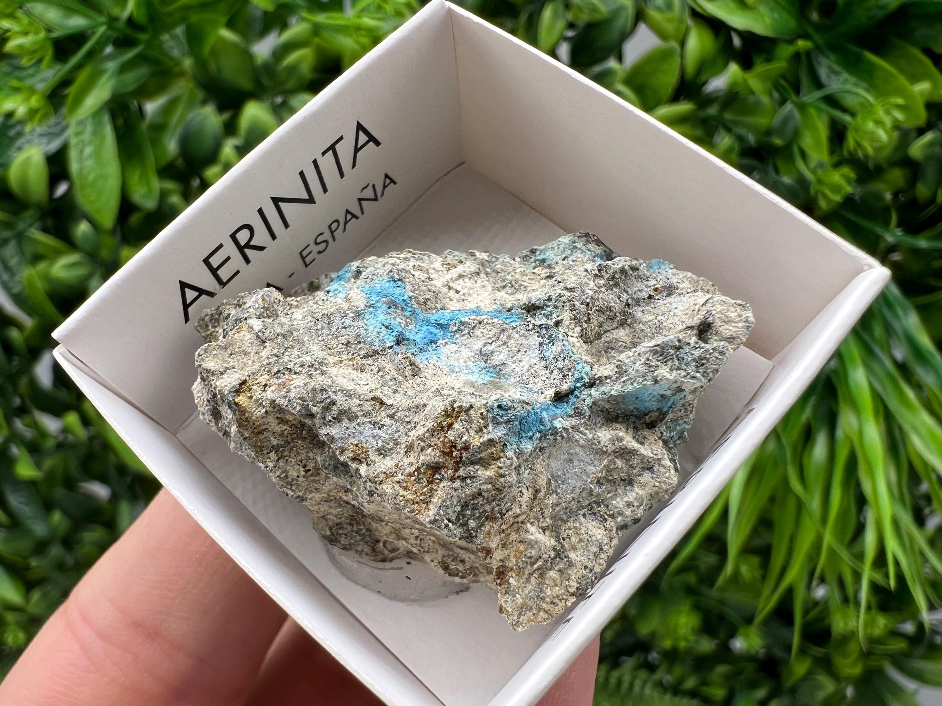 Rare Raw Aerinite Mineral Specimen: Collection Crystal from Lleida, Spain (4/3.5 CM)