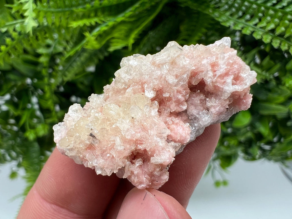 Pink Rhodochrosite Mineral Specimen: Starnica Mine, Bulgaria