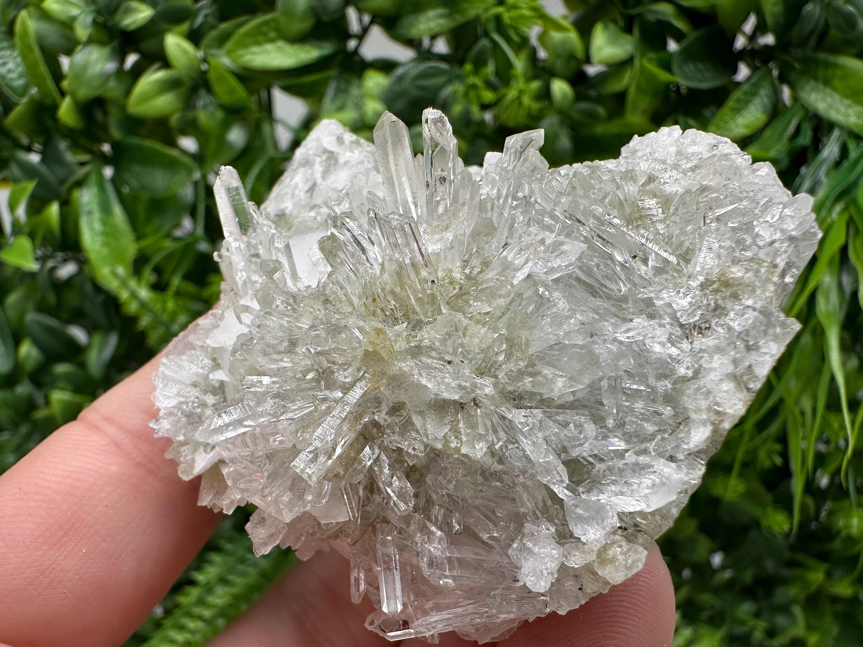 Quartz Calcite on Chlorite Matrix, Rare Mineral Specimen, Bulgaria