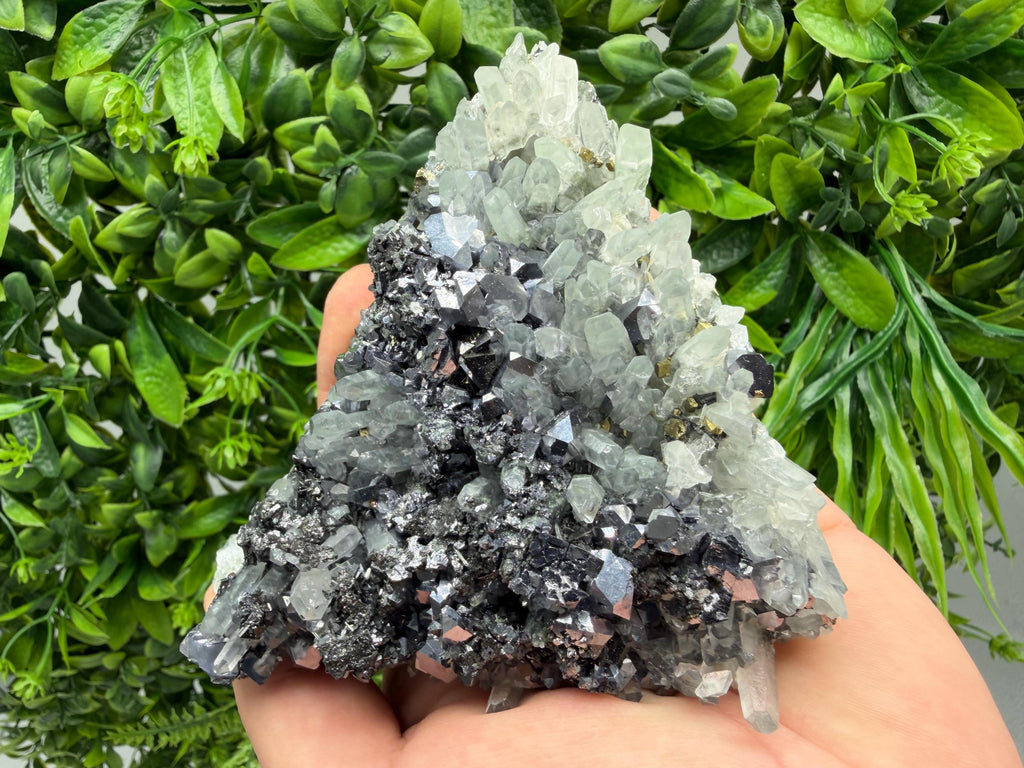 Galena Sphalerite Pyrite on Quartz, Borieva Mine, Bulgaria