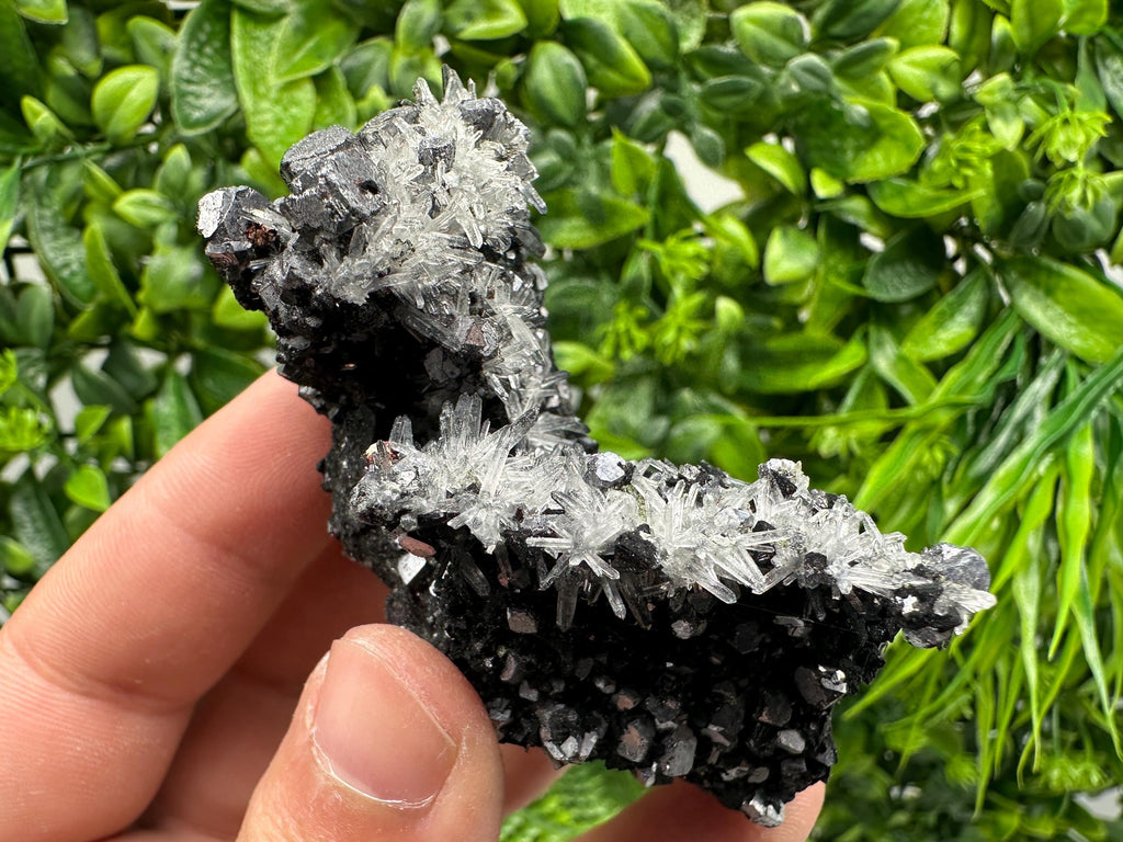 Galena, Quartz, Calcite on Chlorite, Borieva Mine Mineral Specimen