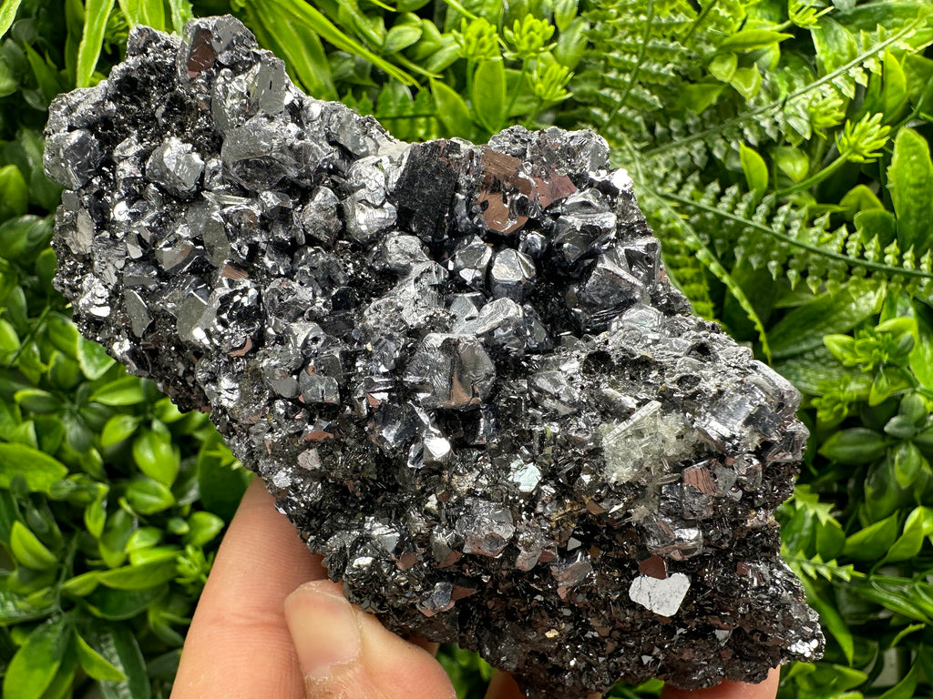Mirror Galena on Sphalerite, Borieva Mine Mineral Specimen