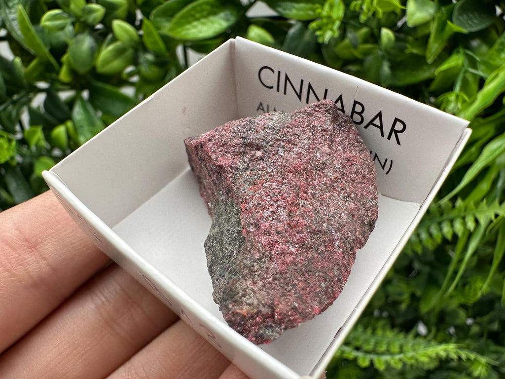 Red Cinnabar Crystal Specimen: Almaden Mines, Spain - Chakra Stone (4/3 cm)