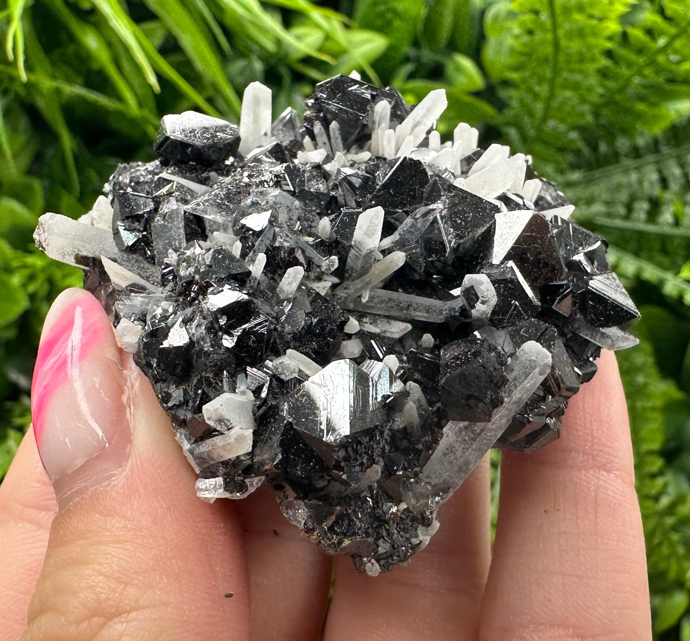 Borieva Mine Sphalerite on Quartz: Rare Mineral Cluster
