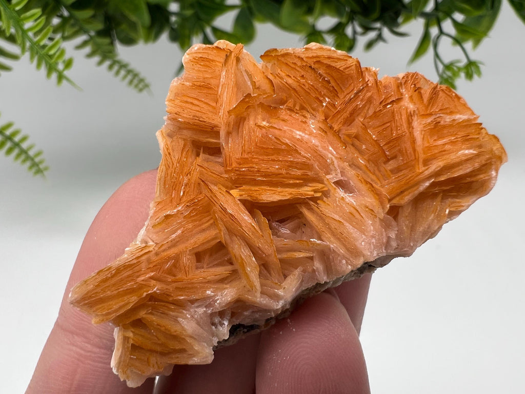 Wonderful Baryte with Cerussite on Galena from Morocco,Crystal, Mineral,Specimen,Cluster,Crystals,Barite Crystal,Cerussite Crystal,Specimen