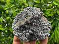 Rare Galena Cluster with Quartz - Krushev dol Mine, Bulgaria