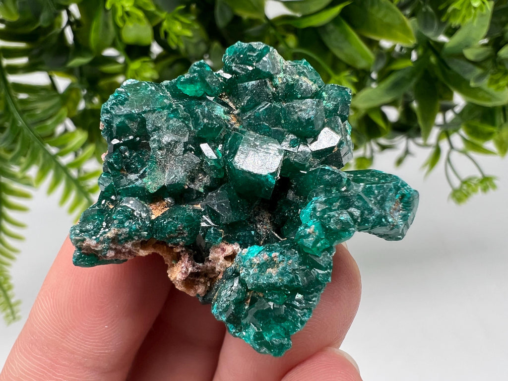 Stunning Green Dioptase from Sanda Hills,Mindouli,Pool Department,Mindouli District,Congo,green Dioptase,Dioptas Crystal,Dioptase collecting
