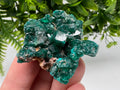 Stunning Green Dioptase from Sanda Hills,Mindouli,Pool Department,Mindouli District,Congo,green Dioptase,Dioptas Crystal,Dioptase collecting