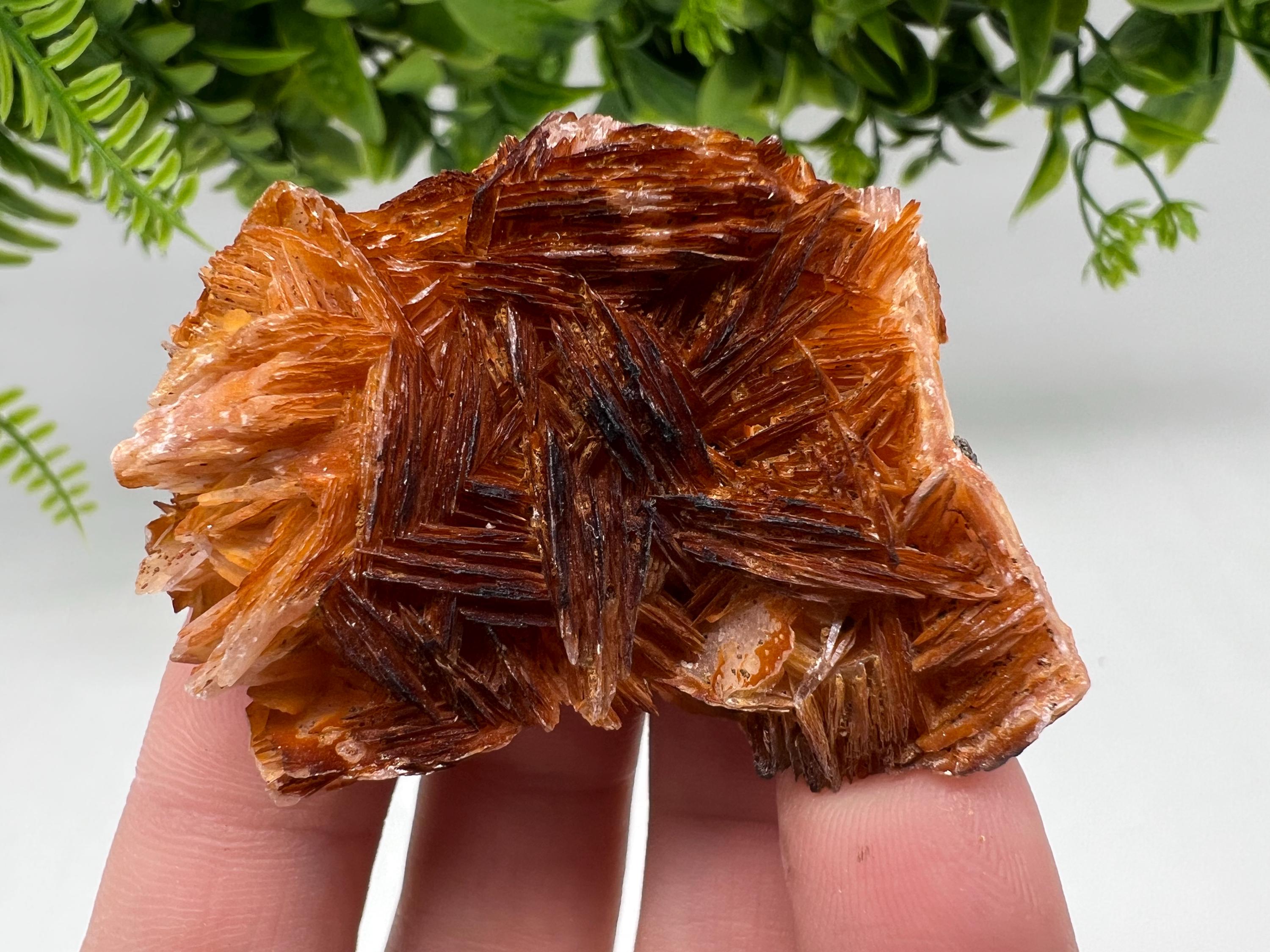 Wonderful Baryte with Cerussite on Galena from Morocco,Crystal, Mineral,Specimen,Cluster,Crystals,Barite Crystal,Cerussite Crystal,Specimen
