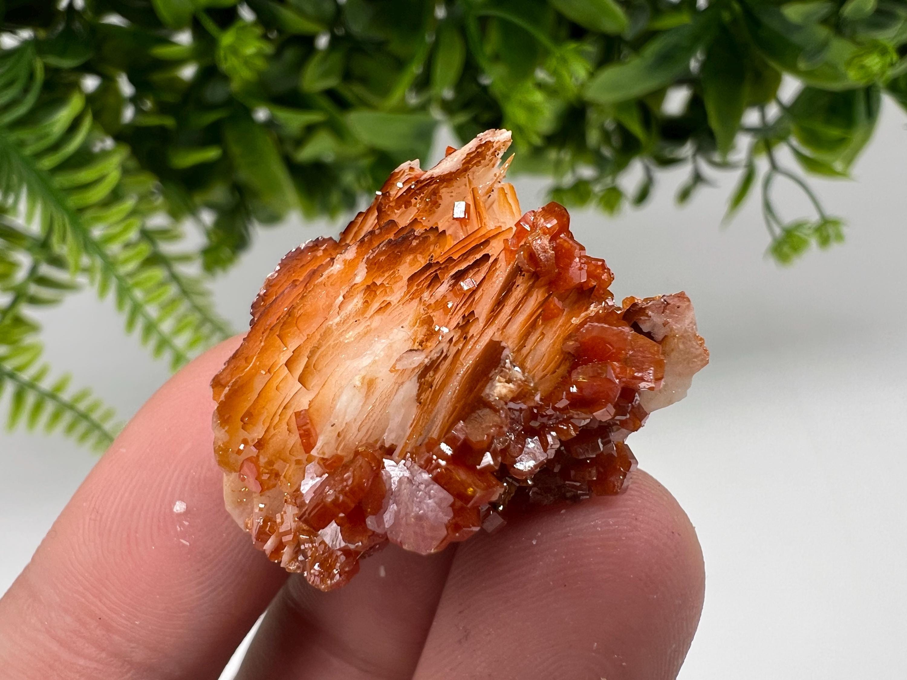Red Vanadinite on Barite from Marocco,crystal minerals Speciment cluster Vanadinite crystal Vanadinite Geology Vanadinite cluster minerals