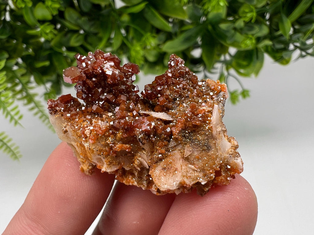 Red Vanadinite on Barite from Marocco,crystal minerals Speciment cluster Vanadinite crystal Vanadinite Geology Vanadinite cluster minerals