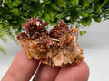 Red Vanadinite on Barite from Marocco,crystal minerals Speciment cluster Vanadinite crystal Vanadinite Geology Vanadinite cluster minerals