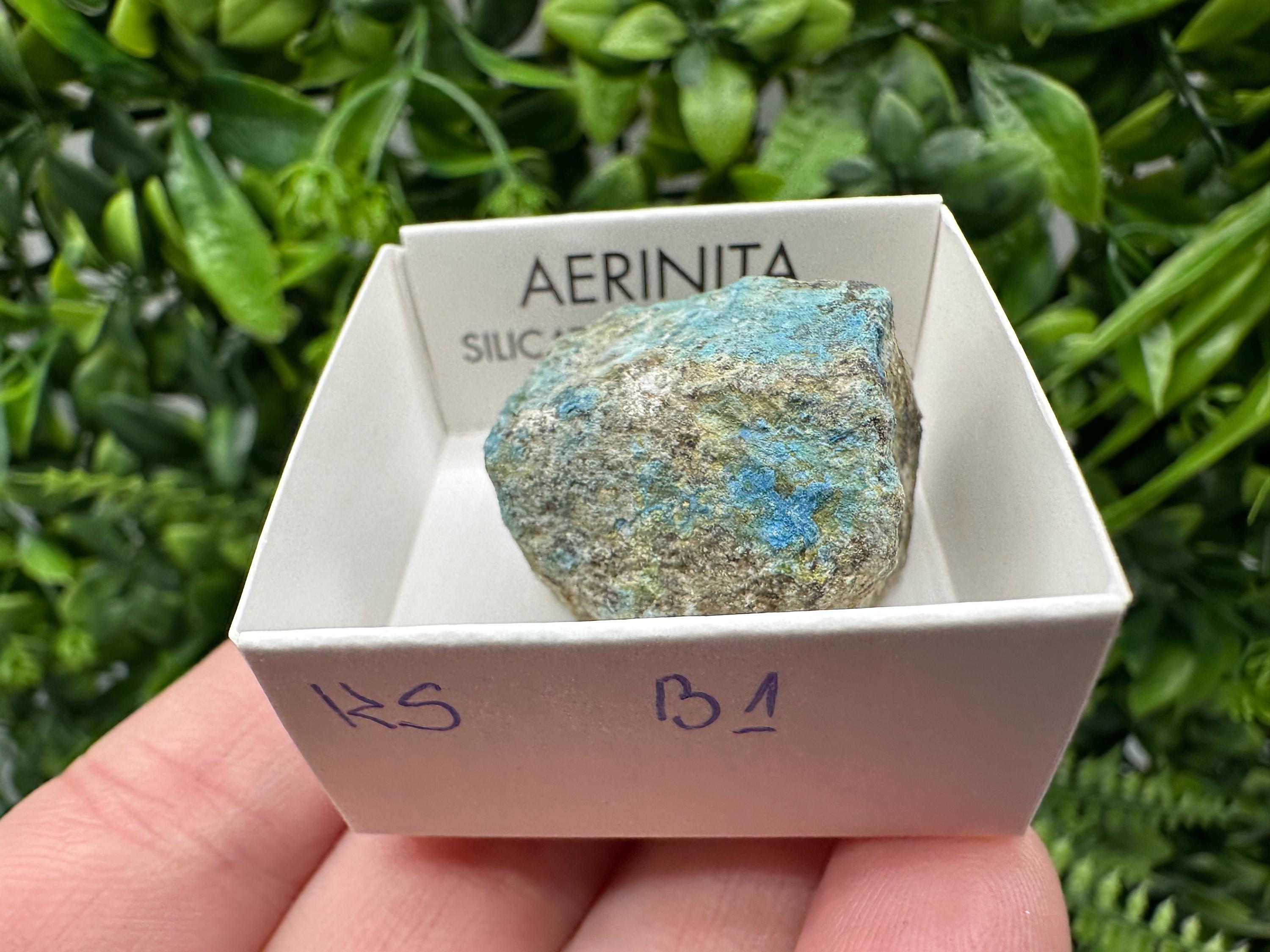 Rare Raw Aerinite Mineral Specimen: Lleida, Spain Crystal