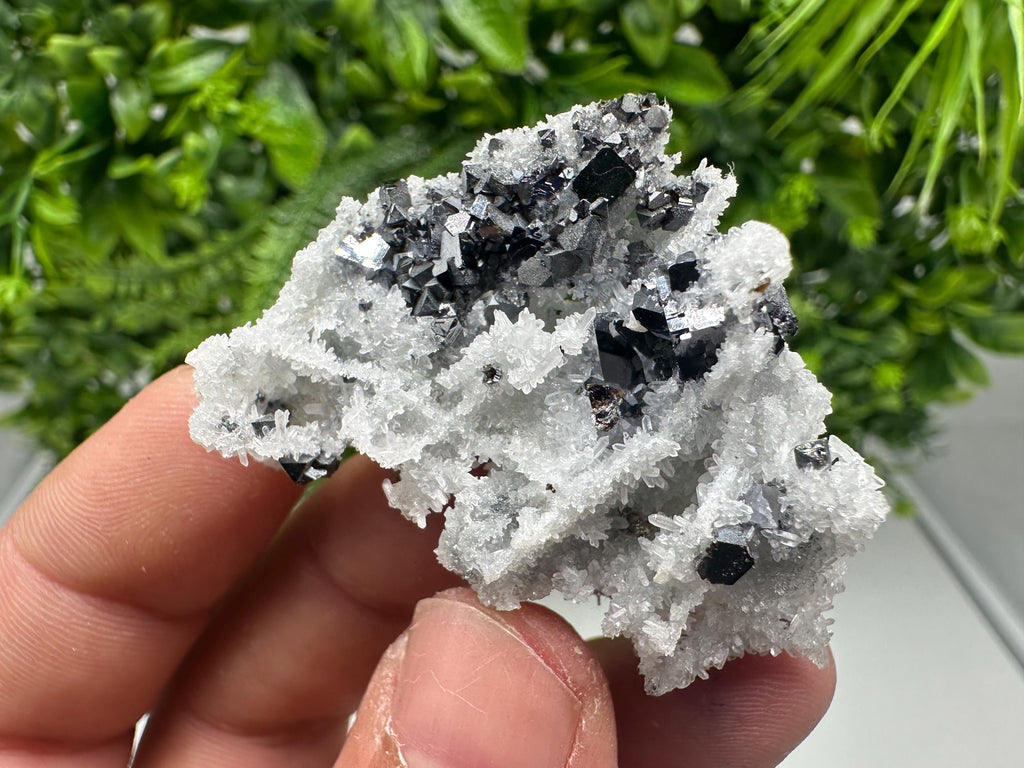 Galena Sphalerite Quartz Mineral Specimen, Krushev Dol Mine