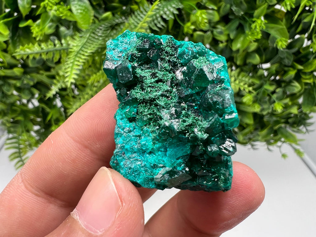 Stunning Green Dioptase from Sanda Hills,Mindouli,Pool Department,Mindouli District,Congo,green Dioptase,Dioptas Crystal,Dioptase collecting