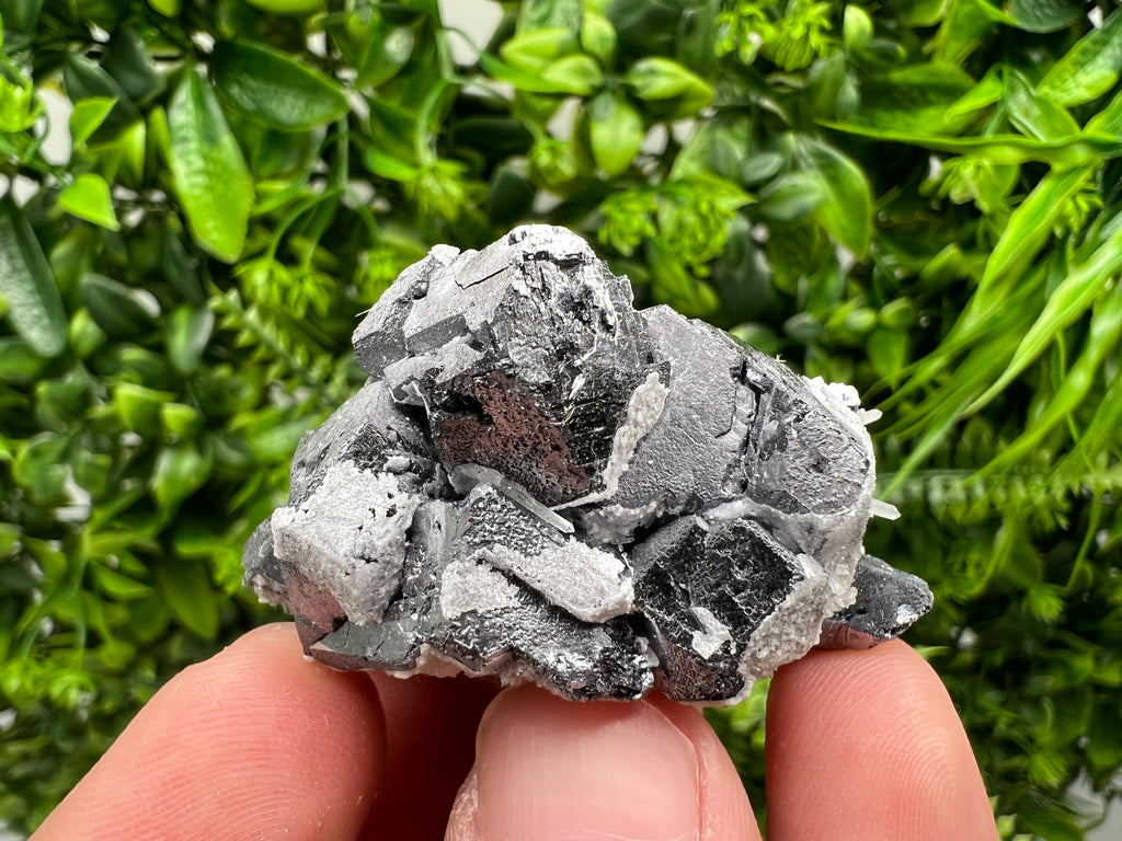 Natural Chalcopyrite with Galena Mineral Specimen, Bulgaria
