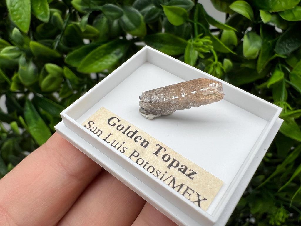 Beautiful Golden Topaz from Mexico,collection piece Crystal,Mineral,collectibles,Collectors, Natural Crystal, Minerals from Mexico,original,