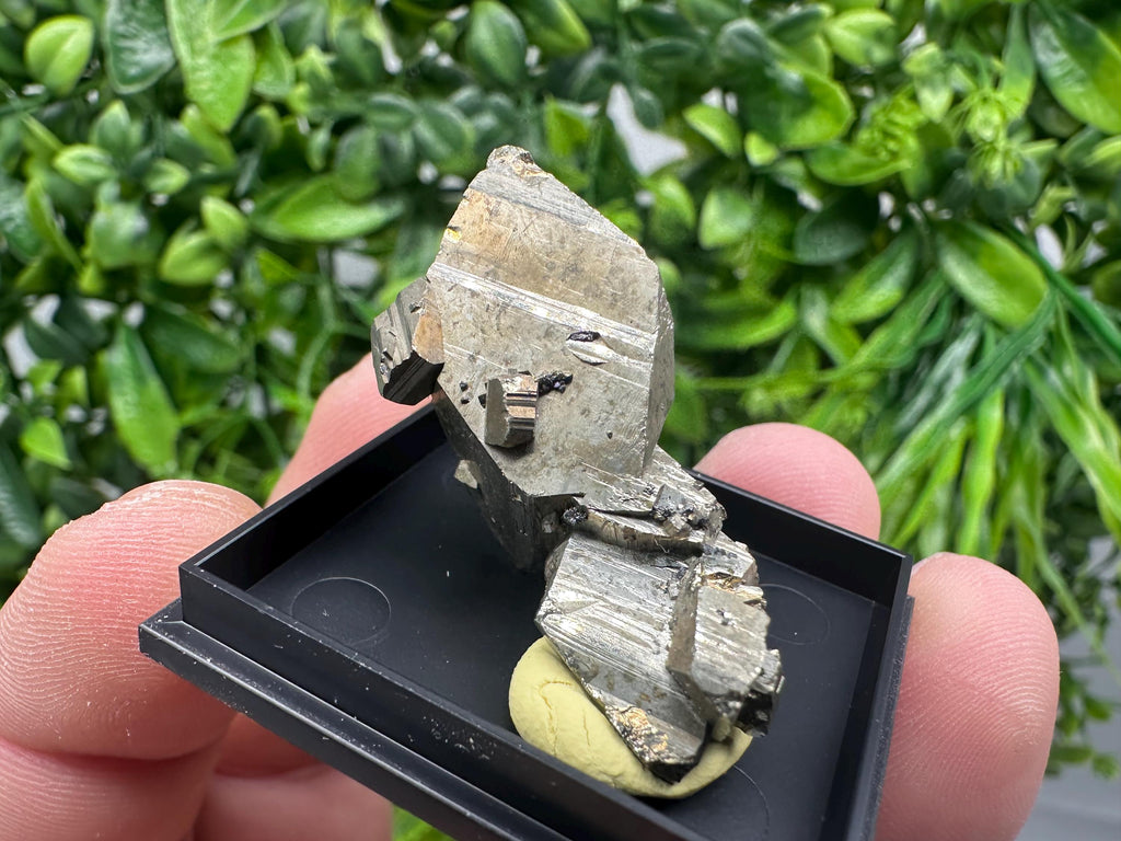 Rare Crystallized Pyrite Cluster - Borieva Mine, Bulgaria