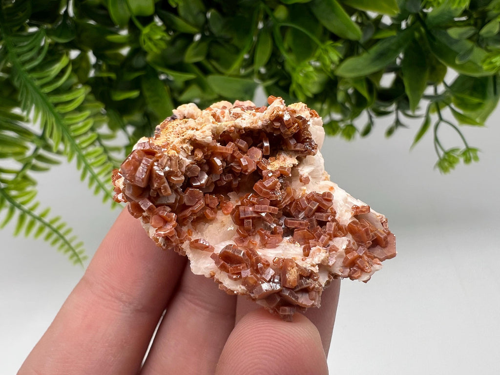Red Vanadinite on Barite from Marocco,crystal minerals Speciment cluster Vanadinite crystal Vanadinite Geology Vanadinite cluster minerals