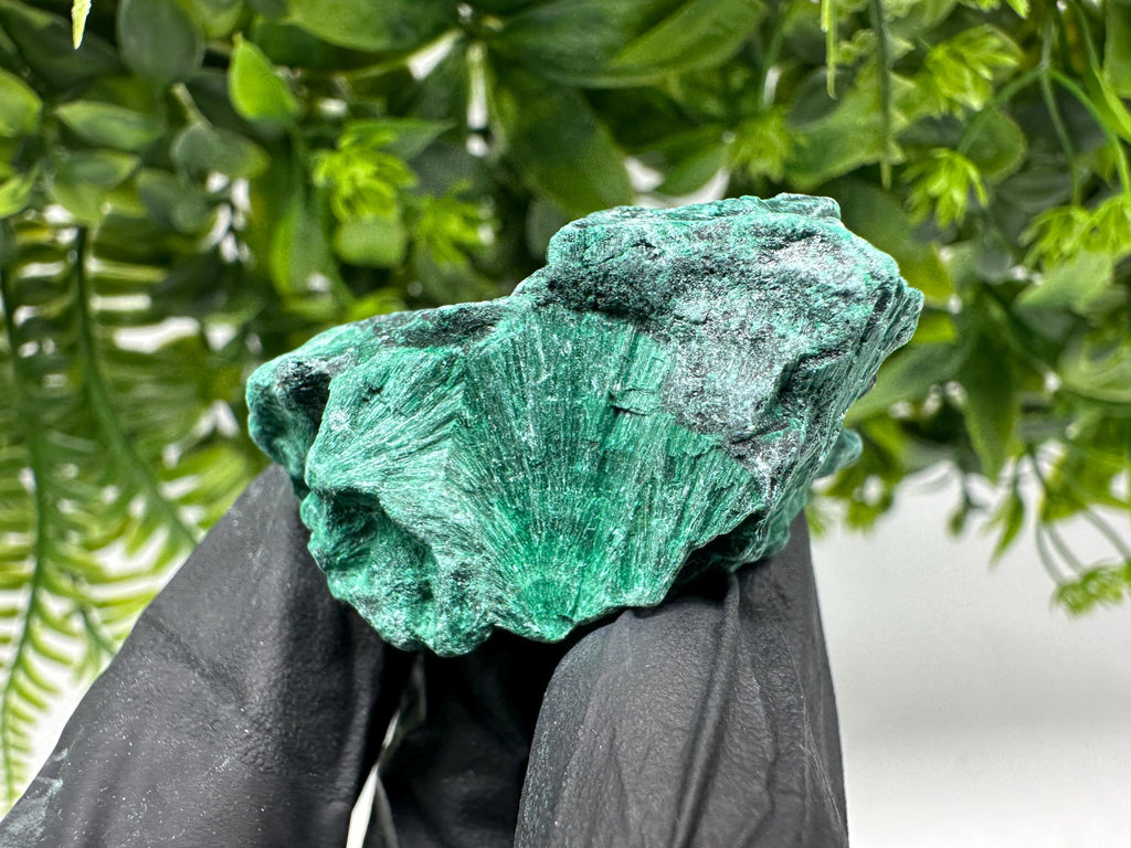 Malachite Crystal from Congo,Minerals,Crystals from Congo,Green Malachite, Malachite,Natural Malachite,Malachite Stone,Chakra, Specimens