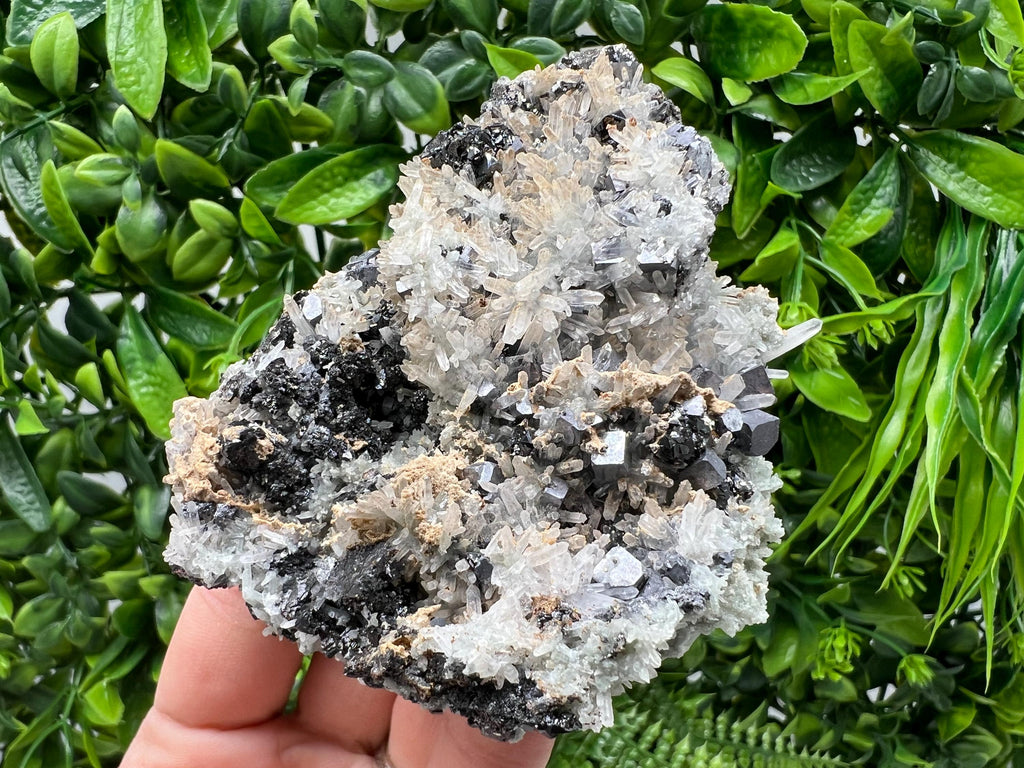 Aesthetic Natural shiny Galena whit Siderite and Quartz from 9 th September mine,Bulgaria,collection specimen,rare galena,Galena cluster