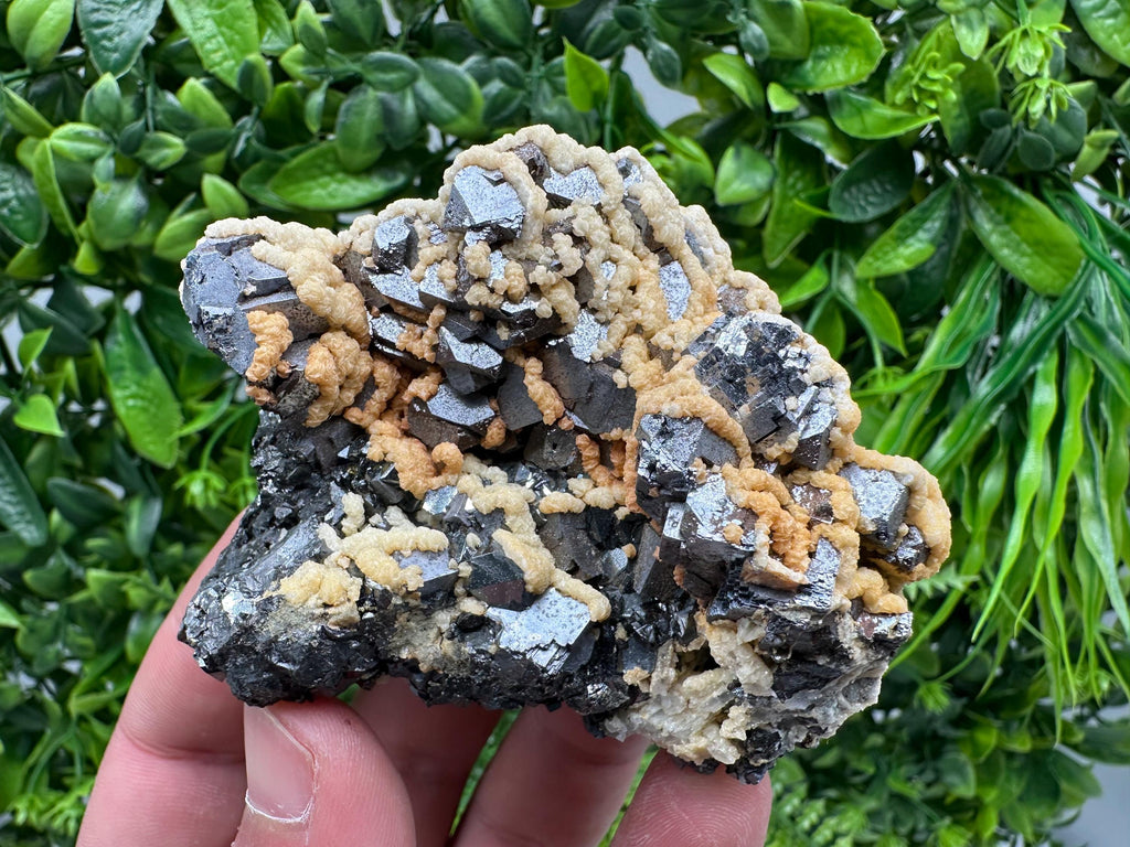 Galena with Dolomite Cluster, Krushev dol Bulgaria