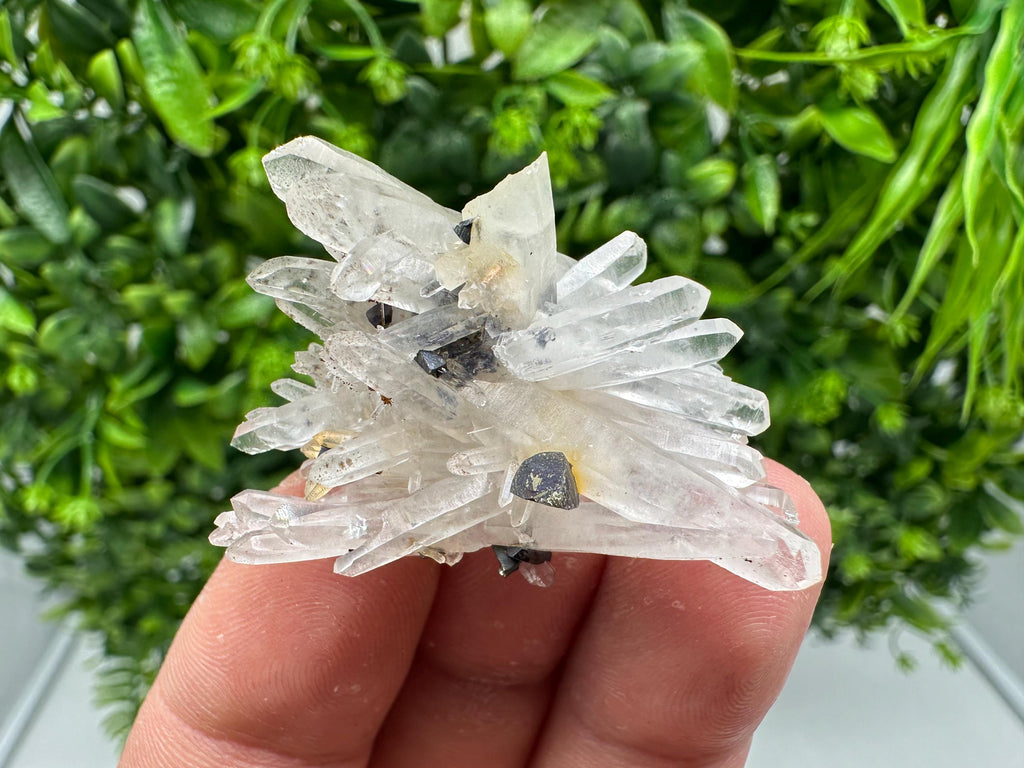 Wonderful Sphalerite Chalcopyrite on  Quartz whit Hematite feom 9 th September mine,Bulgaria,natural,collection mineral specimen,gift