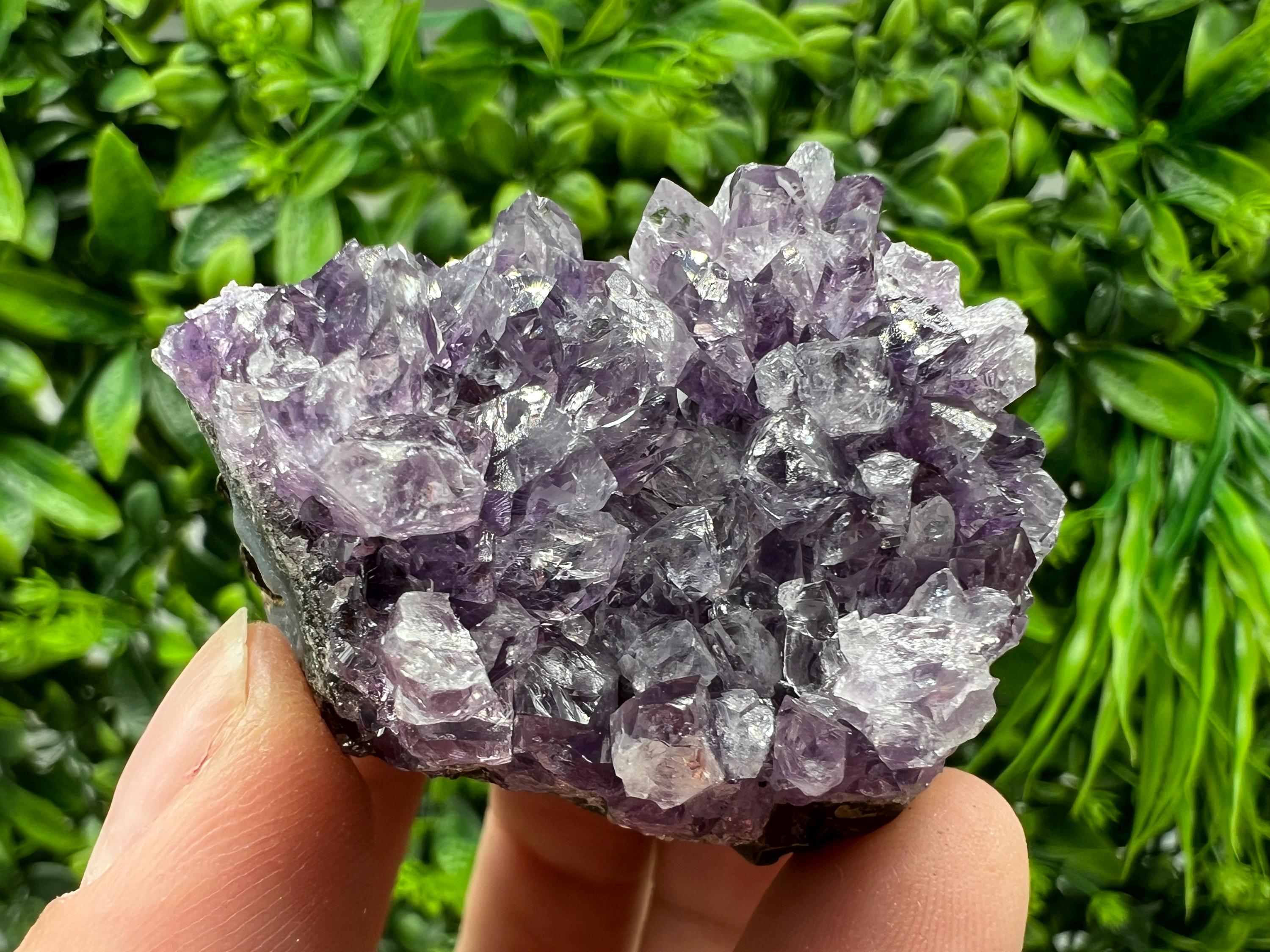 Uruguay Amethyst Crystal: Purple Quartz Phantom - Home Decor