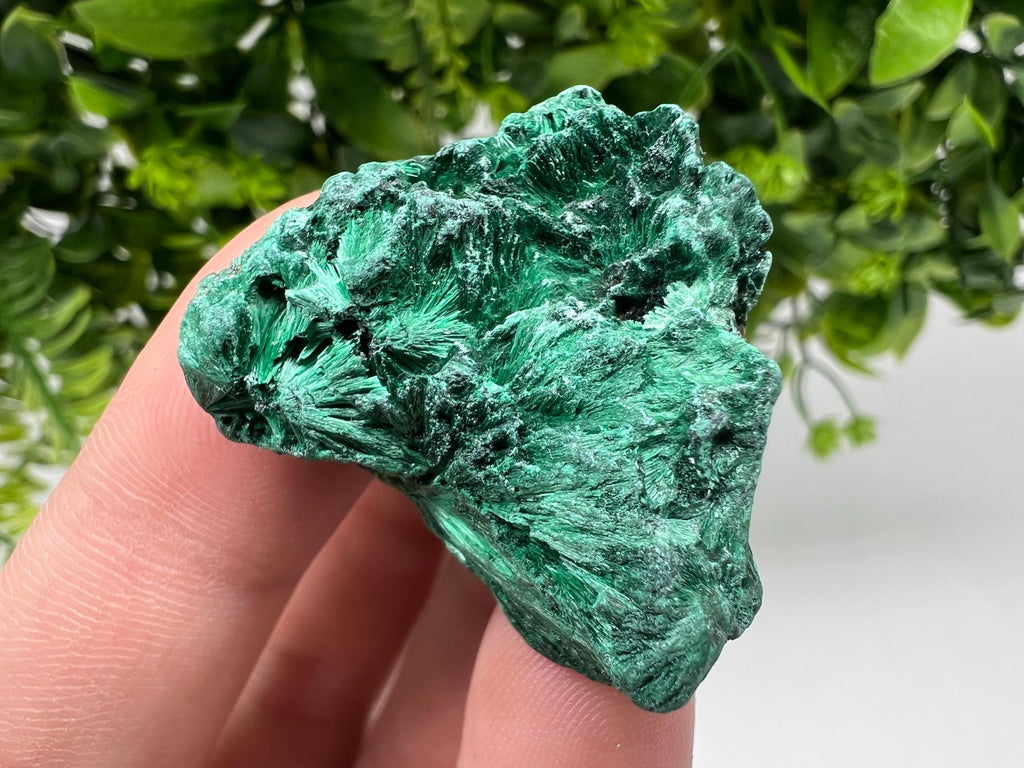 Malachite Crystal from Congo,Minerals,Crystals from Congo,Green Malachite, Malachite,Natural Malachite,Malachite Stone,Chakra, Specimens