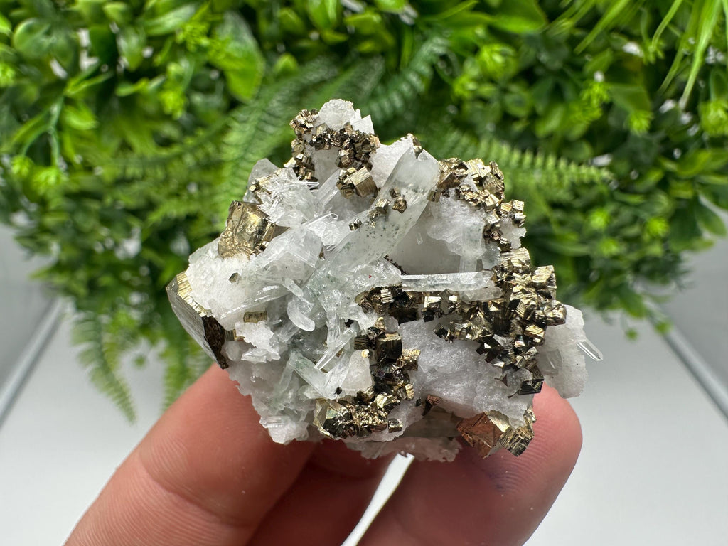 Pyrite on Green Quartz Mineral Specimen, Borieva Mine Bulgaria