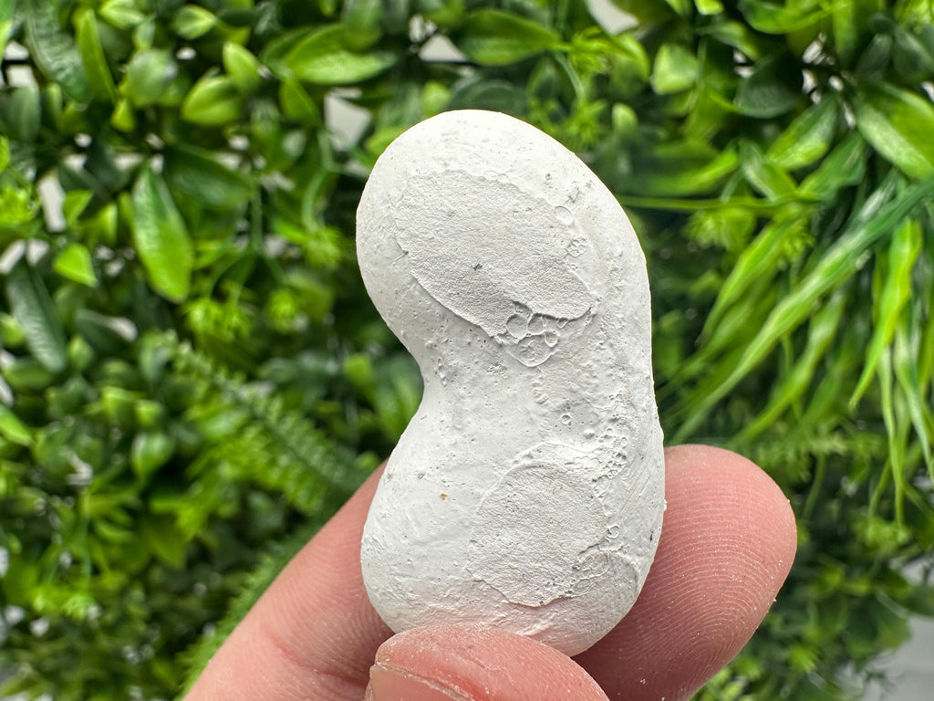 Menalite Crystal: White Fairy Stone, Moroccan A+ Grade