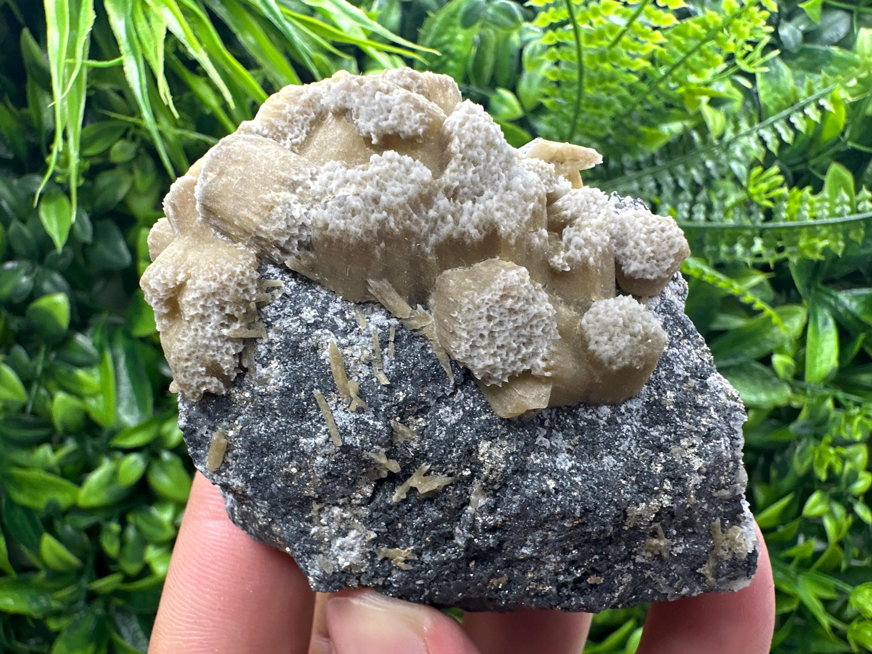 Rare Calcite Cluster on Matrix, Bulgaria Mineral Specimen