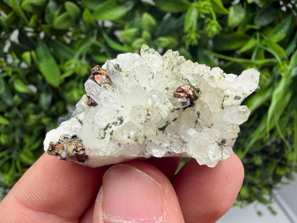 Pyrite Galena on Green Quartz, Chlorite Mineral Specimen, Bulgaria