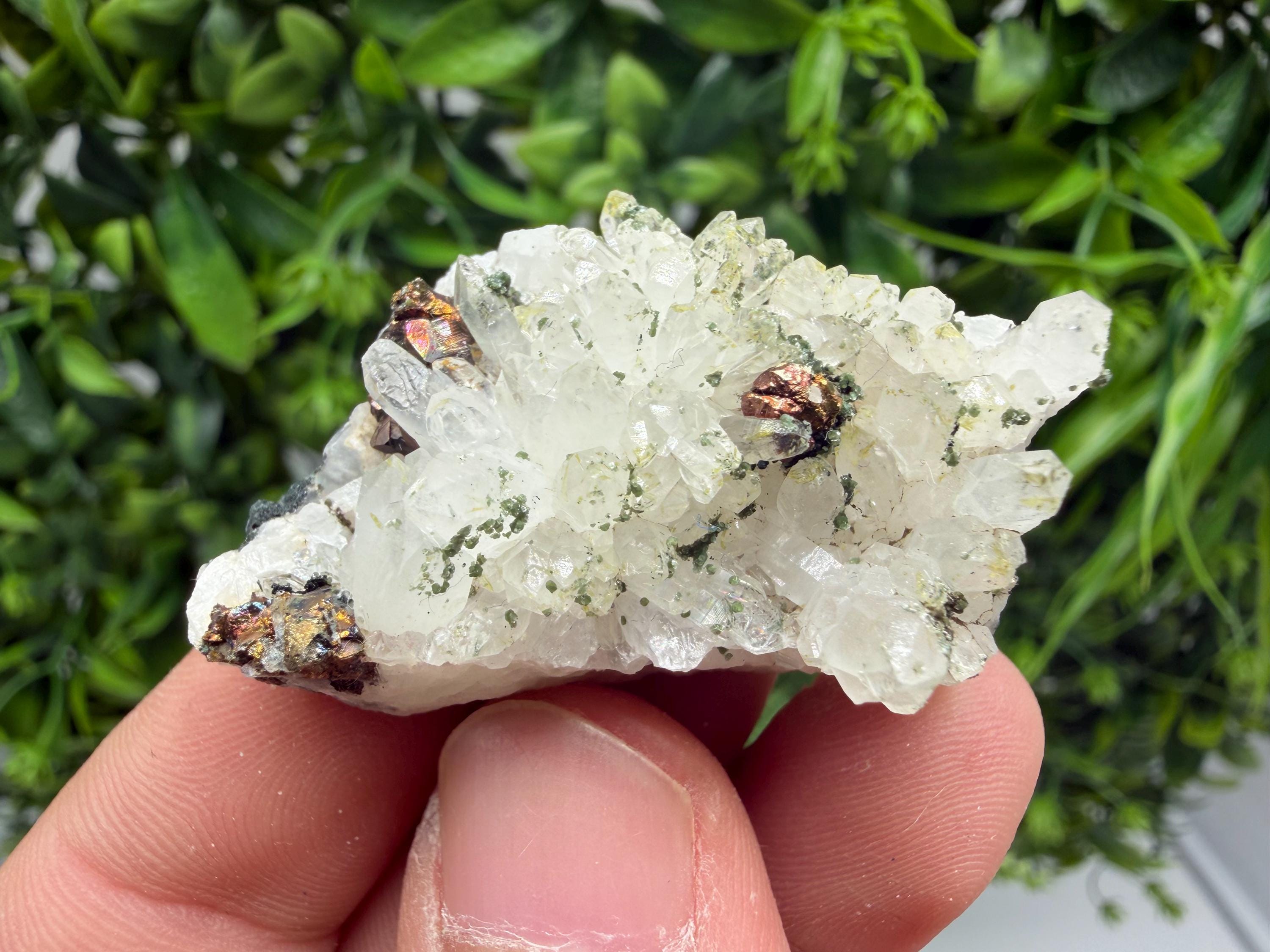 Pyrite Galena on Green Quartz, Chlorite Mineral Specimen, Bulgaria