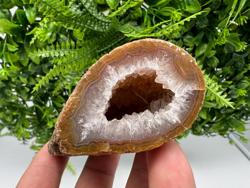 Natural Agate Druzy Geode, Crystal Quartz
