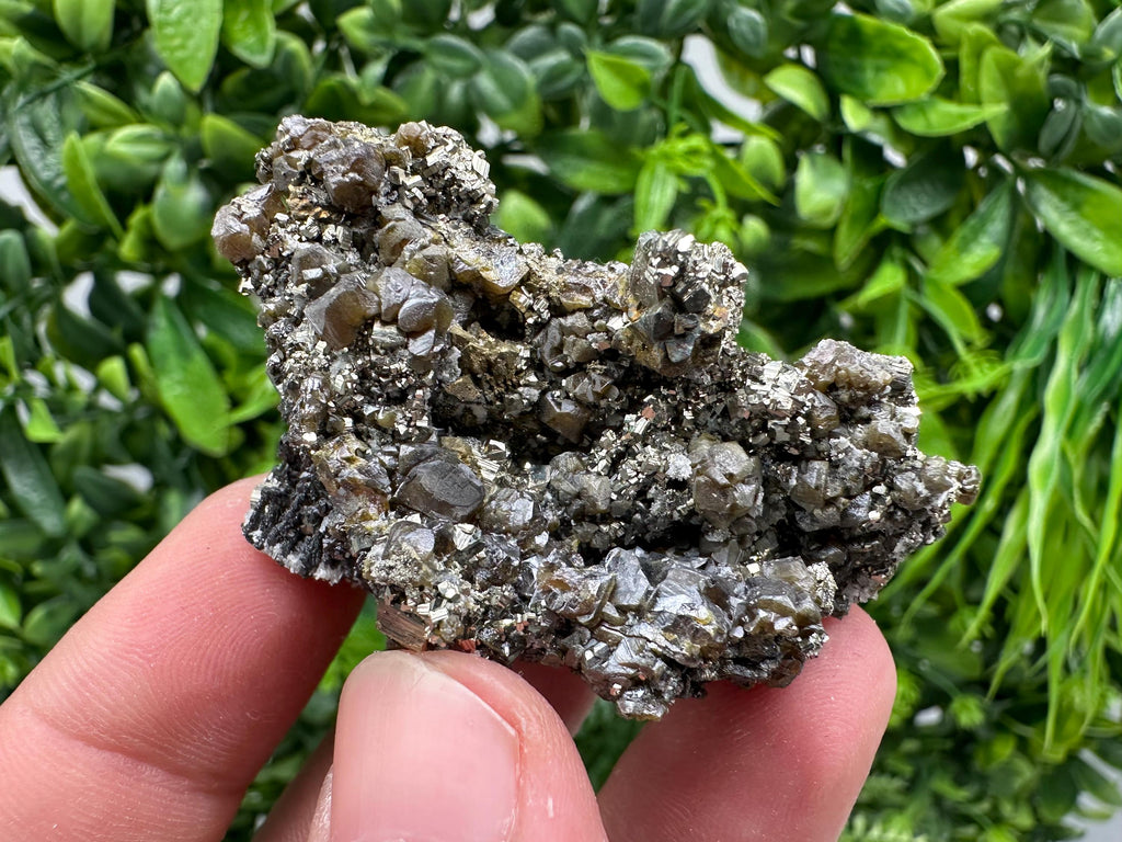 Sphalerite GEM Cleiopfane on Pyrite, Rare Crystal Mineral Stone