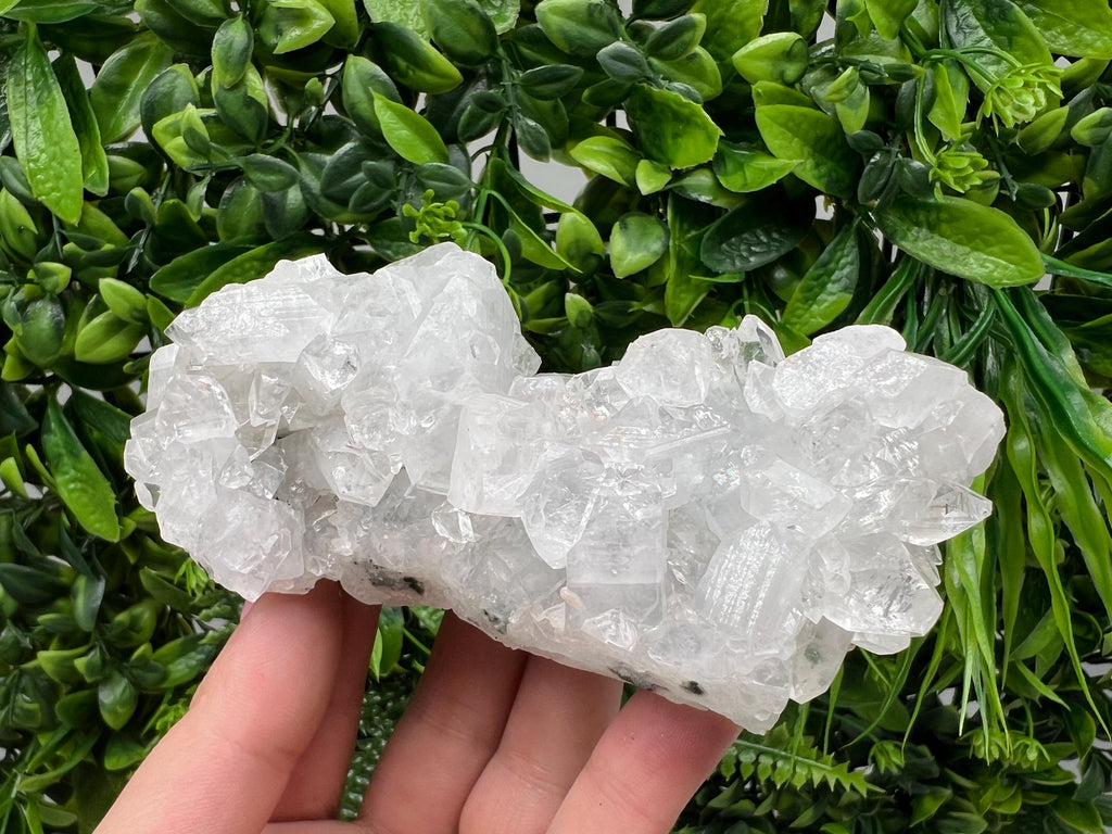 Apophyllite on Chalcedony Specimen: India Minerals Collection