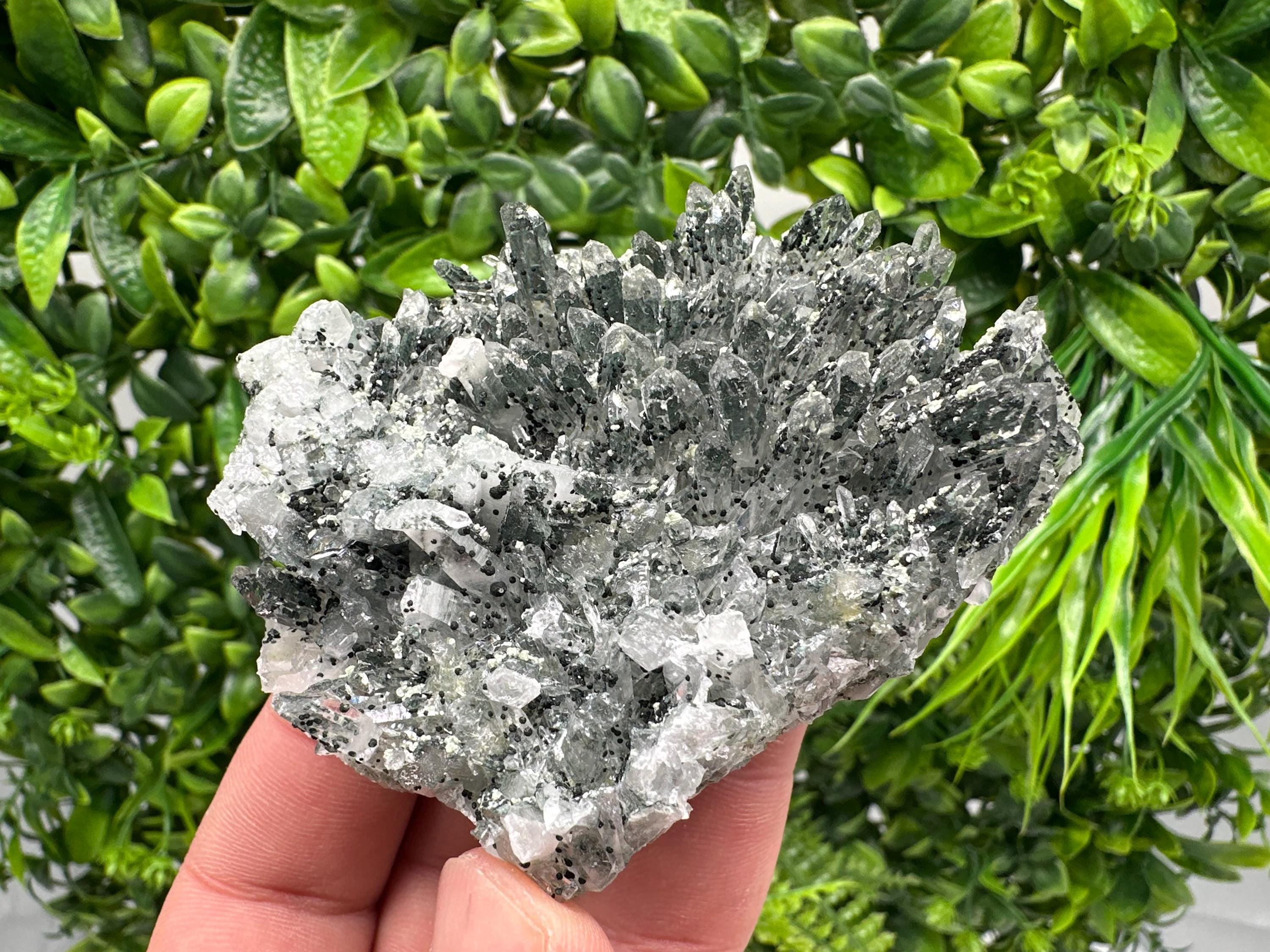 Chlorite Quartz Crystal Cluster - Borieva Mine, Bulgaria