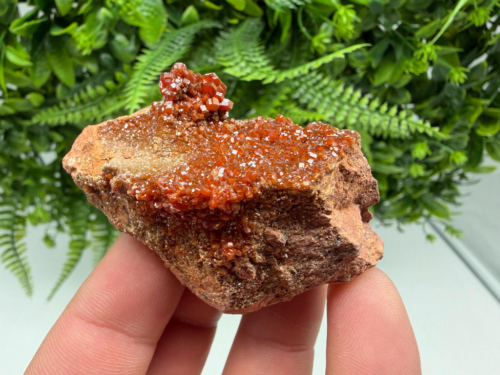 Red Vanadinite on Matrix from Marocco,crystal minerals Speciment cluster Vanadinite crystal Vanadinite Geology Vanadinite cluster minerals