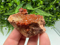 Red Vanadinite on Matrix from Marocco,crystal minerals Speciment cluster Vanadinite crystal Vanadinite Geology Vanadinite cluster minerals