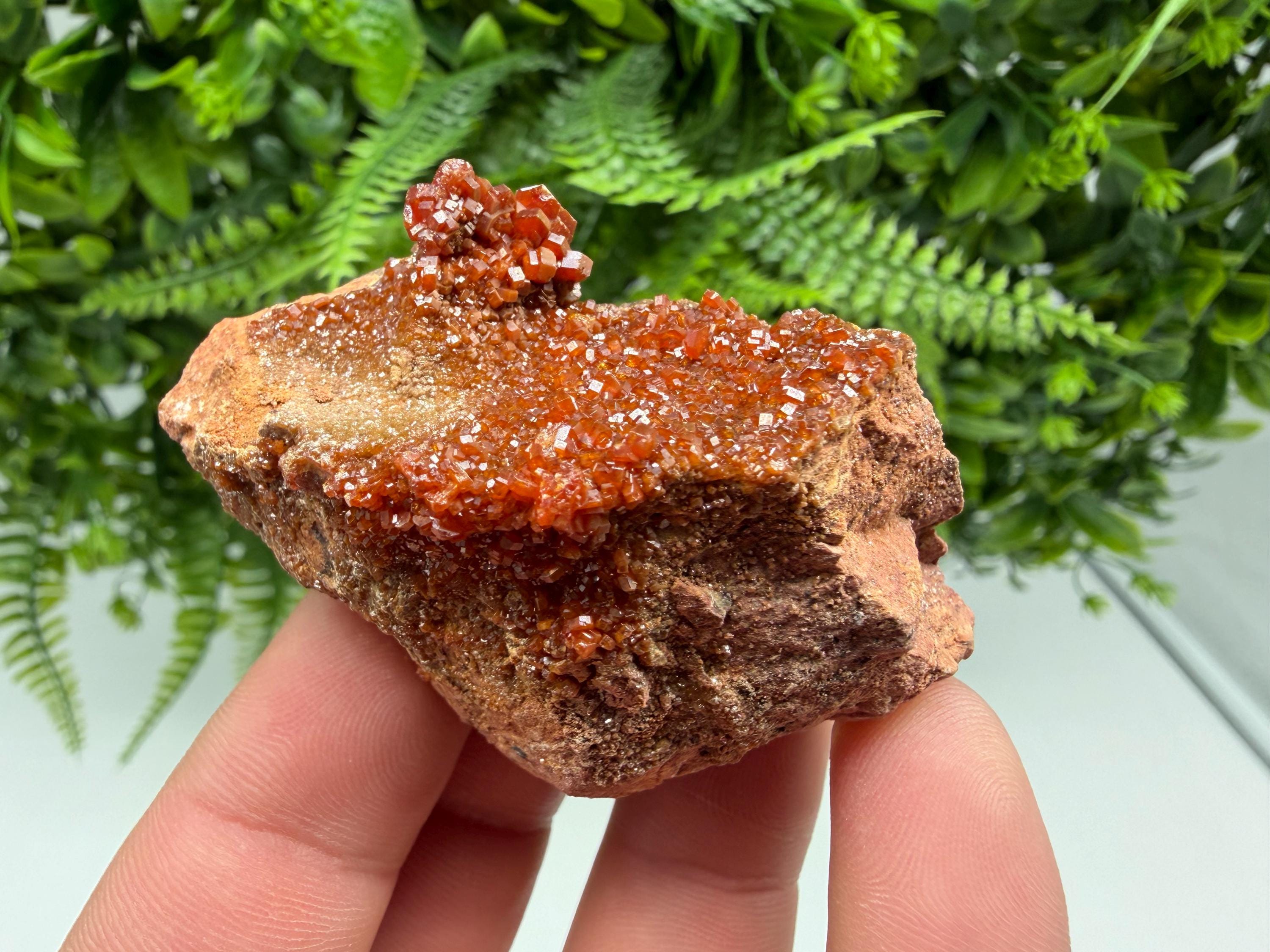 Red Vanadinite on Matrix from Marocco,crystal minerals Speciment cluster Vanadinite crystal Vanadinite Geology Vanadinite cluster minerals
