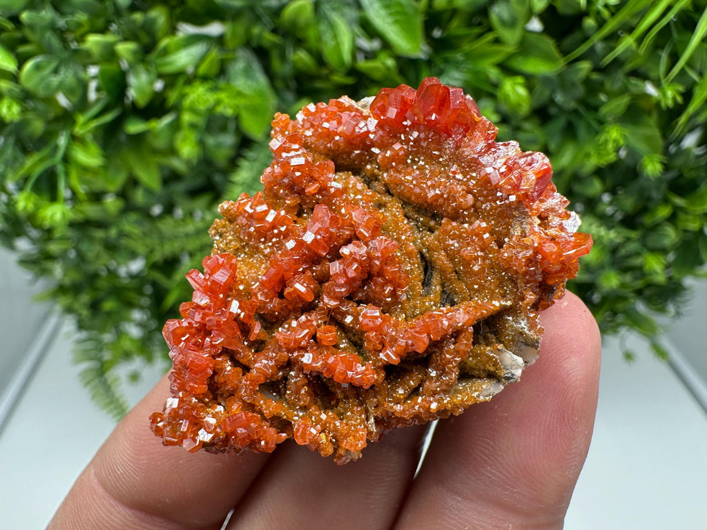 Red Vanadinite on Barite from Marocco,crystal minerals Speciment cluster Vanadinite crystal Vanadinite Geology Vanadinite cluster minerals
