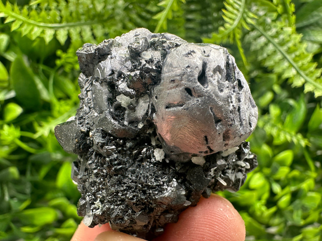 Mirror Galena, Calcite, Sphalerite on Quartz with Chlorite, Borieva Bulgaria