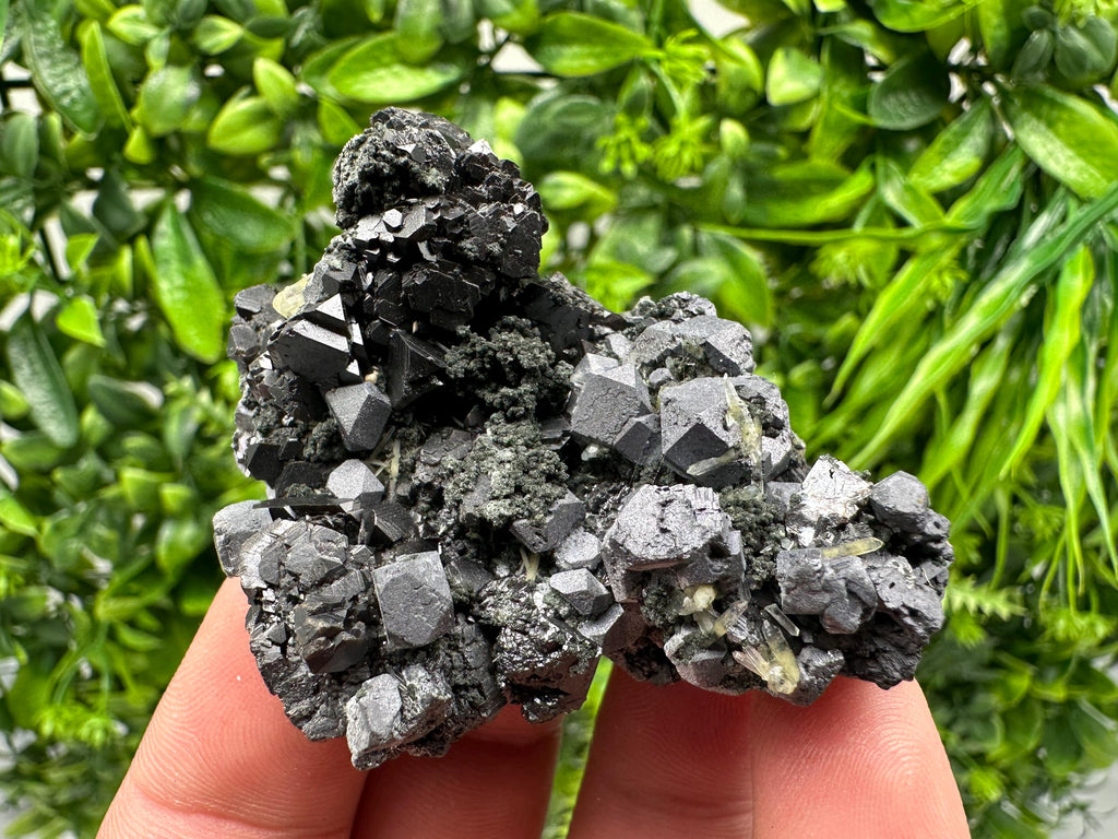Sphalerite Galena Chlorite Cluster, Borieva Mine, Bulgaria