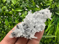 Sphalerite on Green Quartz, Borieva Mine Mineral Specimen